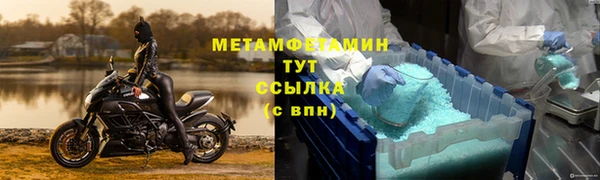 прущие грибы Верея