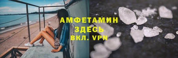 прущие грибы Верея