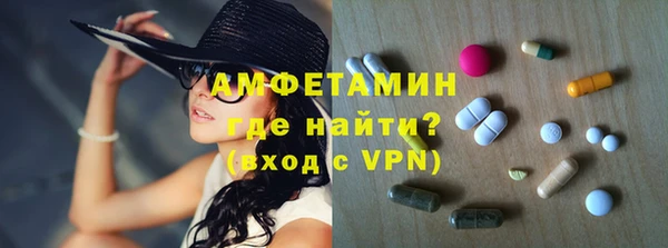 прущие грибы Верея