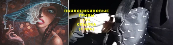 прущие грибы Верея