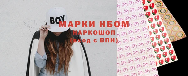 прущие грибы Верея