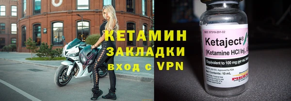 прущие грибы Верея