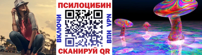 Галлюциногенные грибы Psilocybe  Гай 